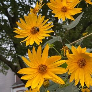 Meet your Posher, Ana